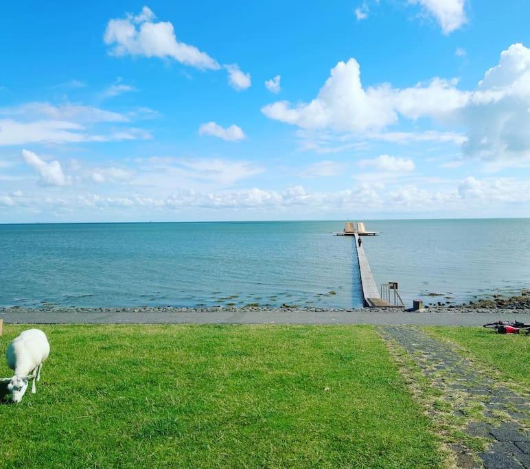 De Oostkamer; Eiland Appartement Naast Natuurgebied Boschplaat Oosterend  エクステリア 写真